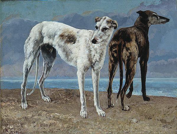 Gustave Courbet The Greyhounds of the Comte de Choiseul Norge oil painting art
